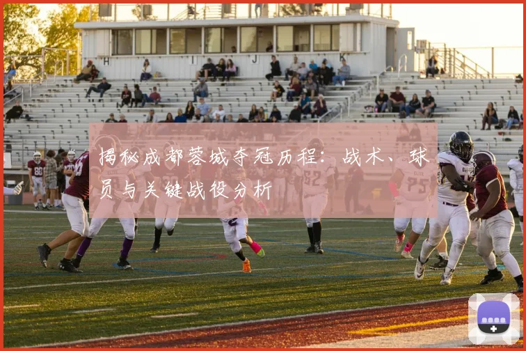 揭秘成都蓉城夺冠历程：战术、球员与关键战役分析